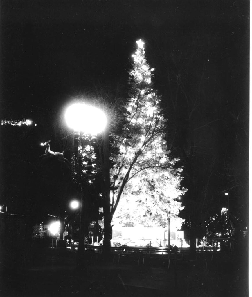 San Jacinto Plaza Christmas Tree 1965